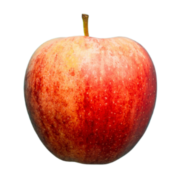 apple-one Divi Engine Football Player