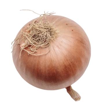 g Divi Engine Football Player