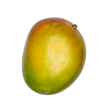 mango-one Divi Engine Football Player