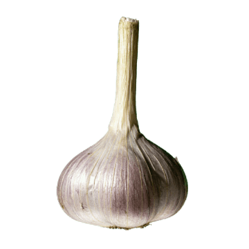 o Divi Engine Football Player